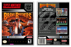 Brawl Brothers