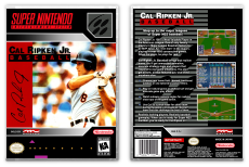 Cal Ripken Jr. Baseball