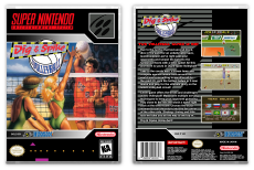 Dig &amp; Spike Volleyball