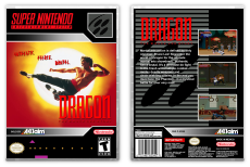 Dragon: The Bruce Lee Story