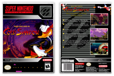 Maui Mallard in Cold Shadow