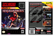 Ninja Warriors, The