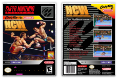 Natsume Championship Wrestling