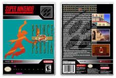 Prince of Persia 2: The Shadow and the Flame