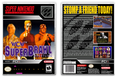 WCW SuperBrawl Wrestling