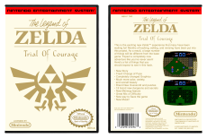 Legend of Zelda, The Trial of Courage