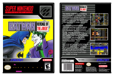 Batman Revenge of the Joker