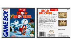 Snow Brothers