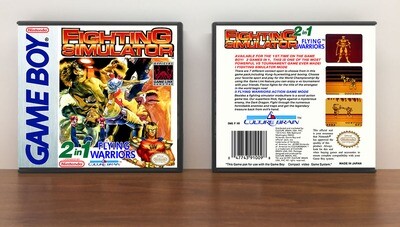 Fighting Simulator 2-in-1 Flying Warriors, Artwork Spine Color: Chrome