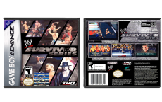 WWE Survivor Series