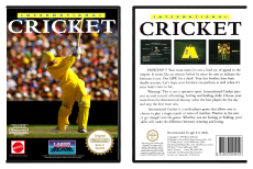 International Cricket