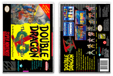 Double Dragon V: The Shadow Falls