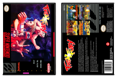 Fatal Fury: King of Fighters