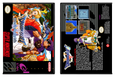 Dragon Quest V