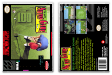 Irem Skins Game, The