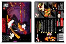 Maui Mallard in Cold Shadow