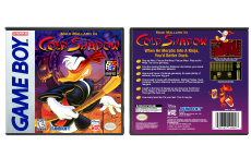 Maui Mallard in Cold Shadow