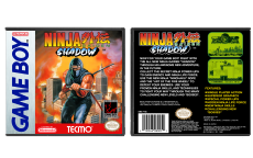 Ninja Gaiden Shadow