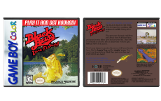 Black Bass Lure Fishing