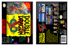 Double Dragon V: The Shadow Falls