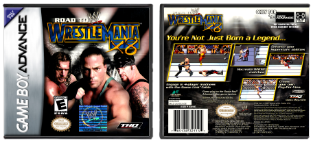 WWE Road to WrestleMania X8