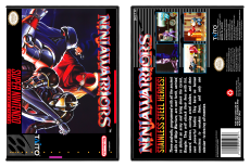 Ninja Warriors, The