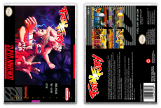 Fatal Fury: King of Fighters