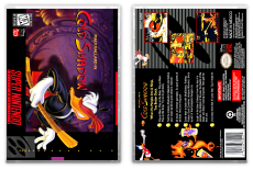 Maui Mallard in Cold Shadow