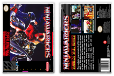Ninja Warriors, The