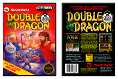 Double Dragon: Chuck Norris Edition