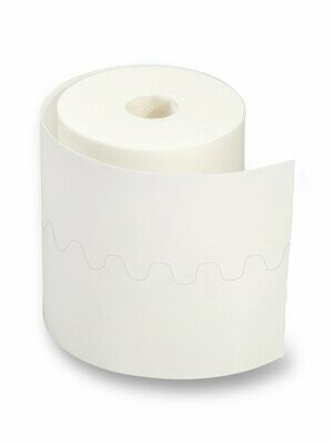 Fixer Fabric Adhesive Roll 10cm*10mtrs