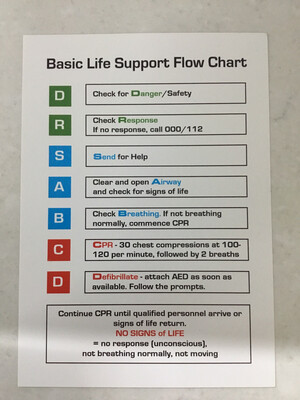 CPR AED Flow Chart Card