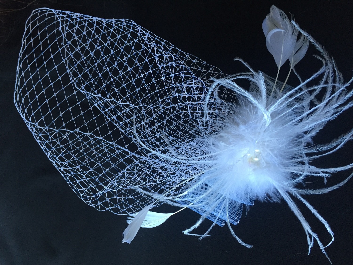Fiona - Feathered Bird Cage Veil