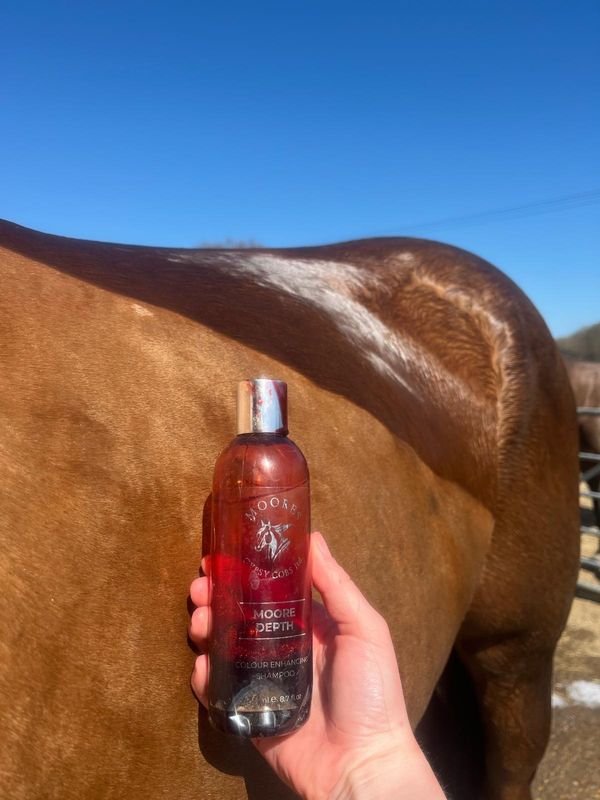 Moores Depth cherry Shampoo - 500ml