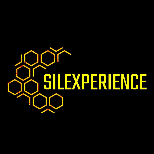 Silexperience 3D Shop