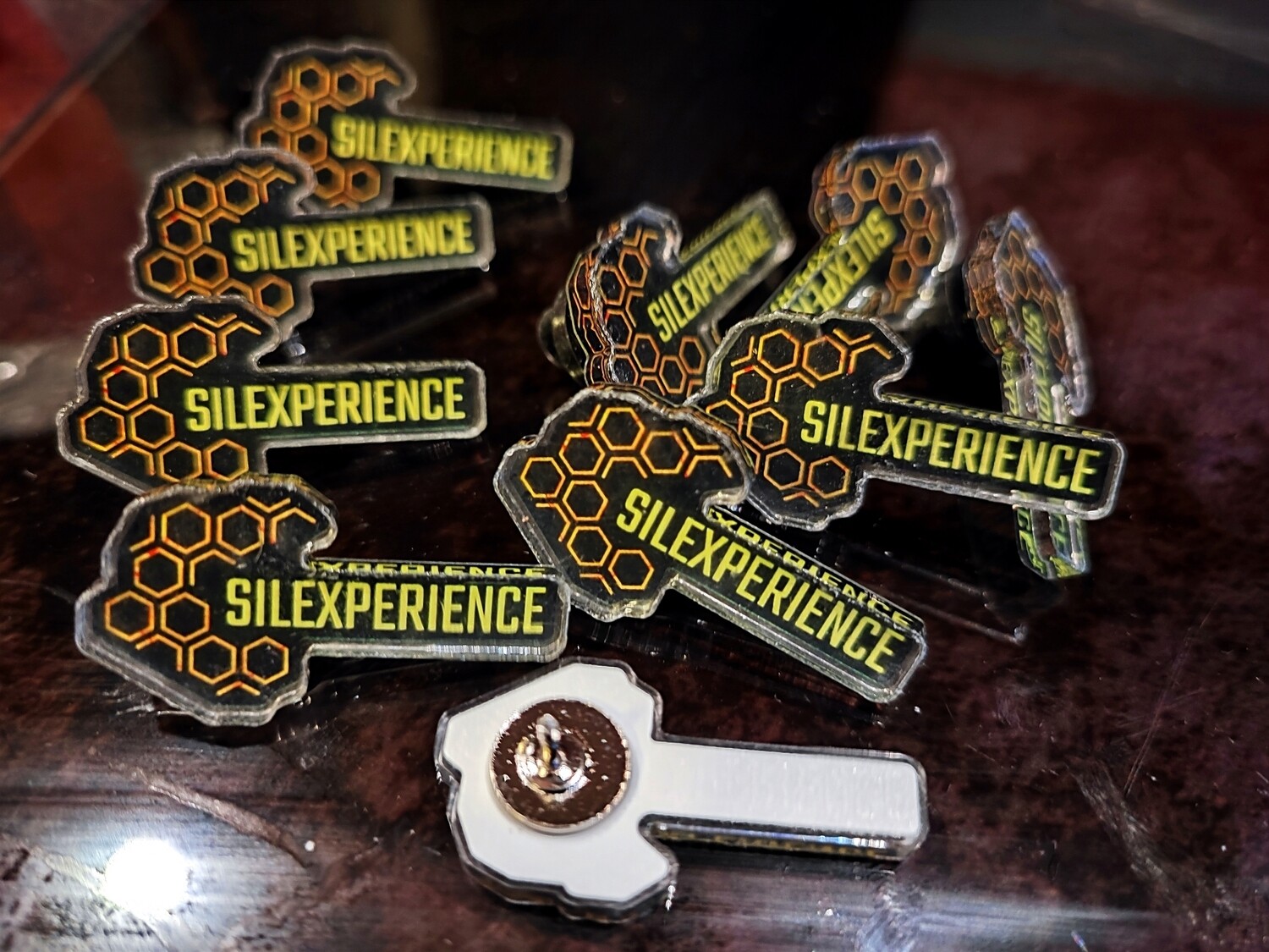 Pin&#39;s Silexperience