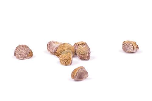 4 seeds /ks - Havajska ruza / Hawaiian Baby Woodrose / Argyreia nervosa