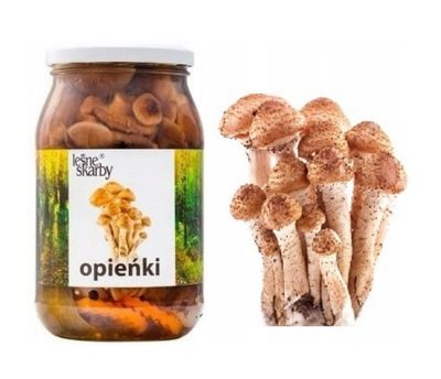 OPIENKI Honey Mushrooms pickled in brine 800g &#39;&#39;KASOL&#39;&#39;/ Sliced Mushrooms