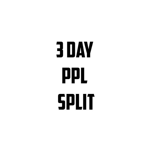 3 day PPL program