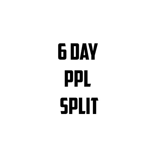 6 day PPL program