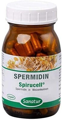 Spermidin Kapseln