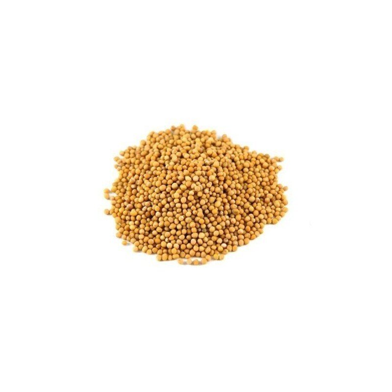 semi di senape giallo bio 100 g