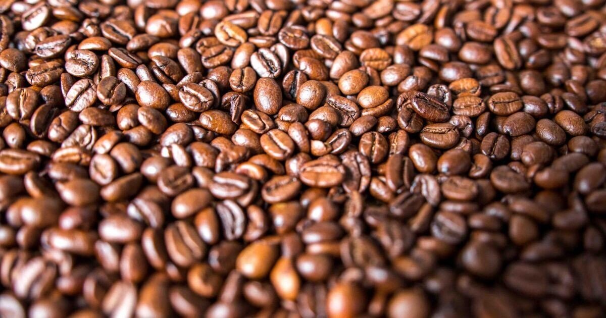 Kaffee Caroma koffeinfrei CO2 100% Arabica bio & Fair Trade 500g