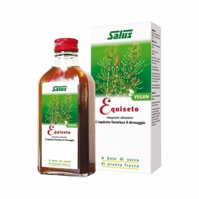 Zinnkraut Sirup 200ml