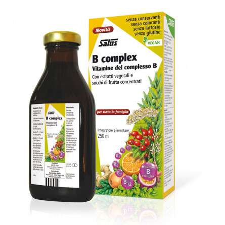 Vitamin B Complex Sirup Salus 250ml