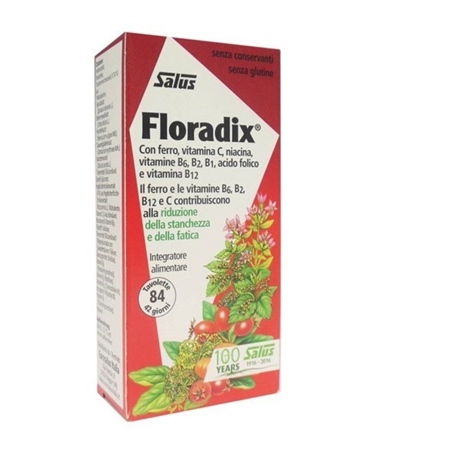 Salus Floradix Eisen & Vitamine Dragees 84 Dragees
