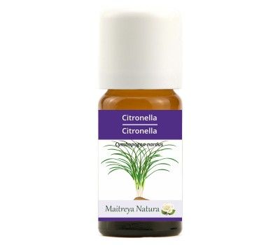 Ätherisches Öl: Citronella BIO, 10ml
