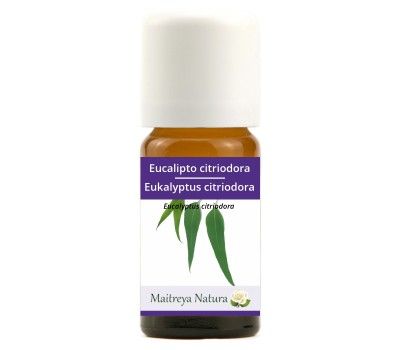 Ätherisches Öl: Eukalyptus citriodora BIO, 10ml Ätherisches Öl: Eukalyptus citriodora BIO, 10ml