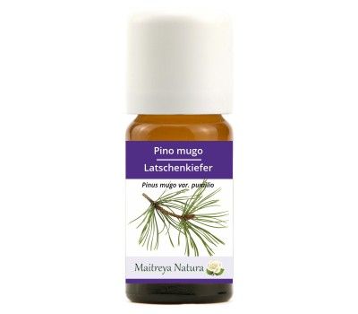 Ätherisches Öl: Latschenkiefer BIO 10ml