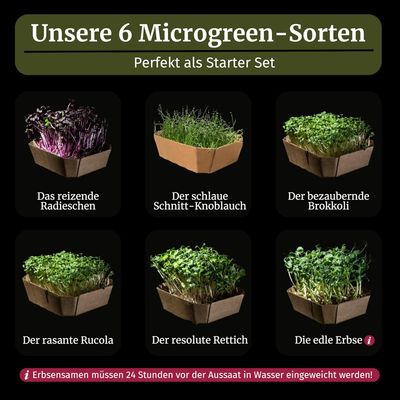 Micro Greens Mix 6er Set